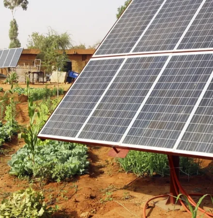 shutterstock_178382381_small